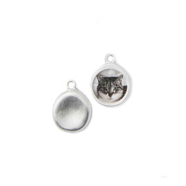 Silver Charm